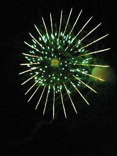 NEC_0182.JPG
