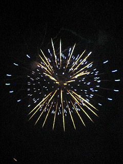 NEC_0193.JPG