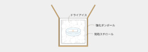 細胞を強化段ボールで梱包・輸送